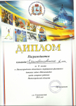 Диплом за 2 место в областном спортивном фестивале 2016 г